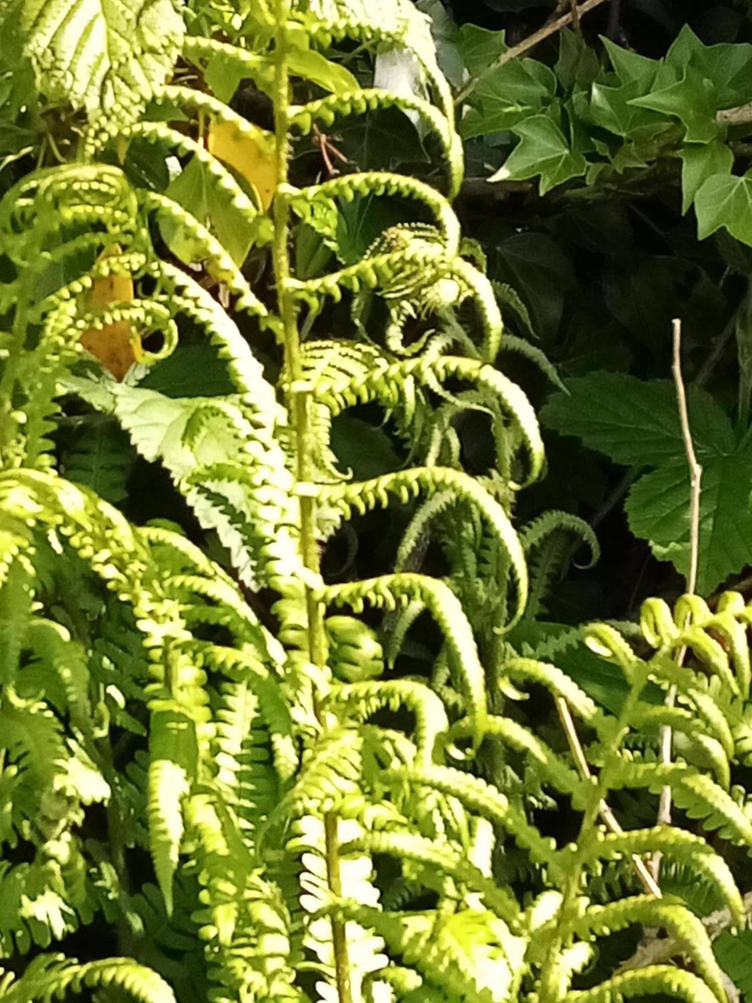 Farnaught House Homestay Westport